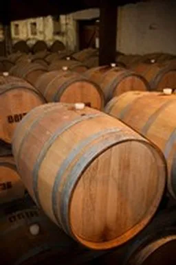 barrels Wine barrels