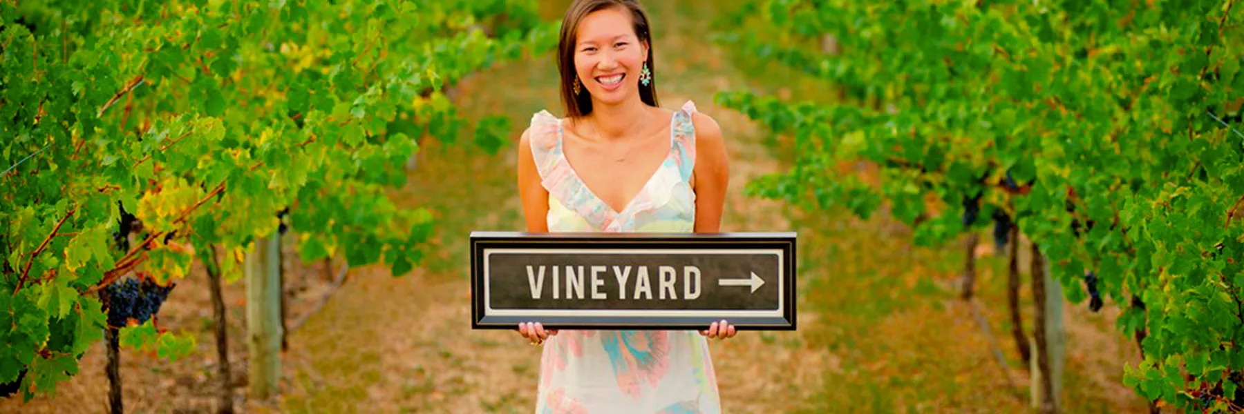 Best wine regions to visit in South Australia, Coonawarra
